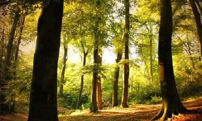 生辰八字起名：未时出生的女宝宝怎么样起名，五行缺什么