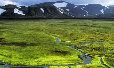 生辰八字起名：子时出生的女宝宝怎么样起名，五行缺什么