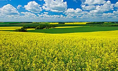 2018年1月31号出生的女孩应该怎样起名，五行属什么