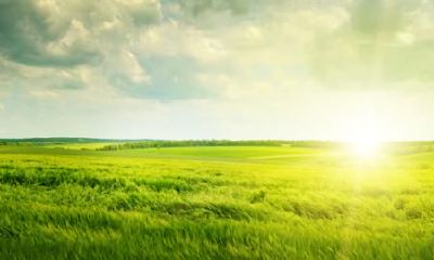 2019年1月24号出生的女宝宝应该怎样取名，五行属什么