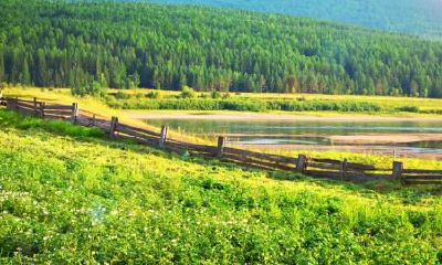 2019年1月19号出生的女宝宝应该怎样取名，五行属什么