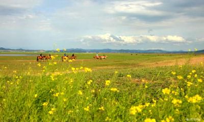 2019年1月20号出生的女宝宝应该怎样取名，五行属什么
