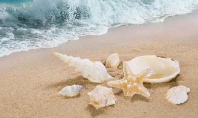 2018年12月21号出生的宝宝怎样起名好，命运怎么样