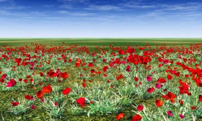 2019年1月18号出生的女宝宝起什么名字比较合适，五行属什么