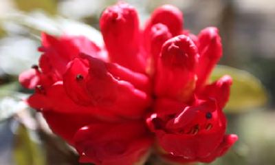 生辰八字起名：中午出生的女宝宝怎么样起名，适合用什么字