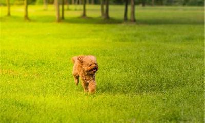 2019年1月22号出生的女宝宝适合起什么名字，五行属什么