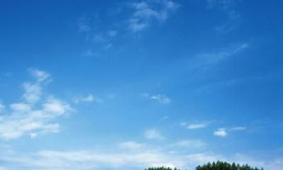 2019年1月25号出生的女宝宝应该怎样取名，五行属什么