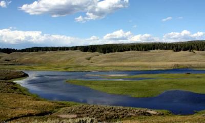 生辰八字起名：丑时出生的女宝宝应该怎样起名，五行缺什么