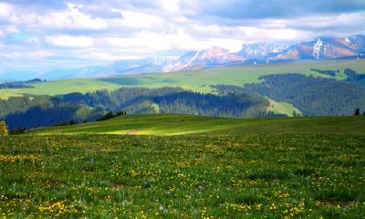 2019年1月15号出生的女宝宝适合起什么名字，五行属什么
