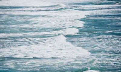 2019年1月12号出生的女宝宝适合起怎样的名字，五行属什么