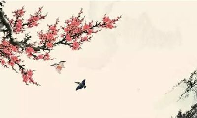 姓万女孩高雅有诗意的名字