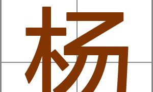 姓杨男孩豪爽大气的名字