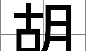 100分的胡姓女孩名字大全