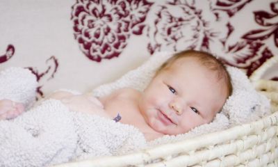 羊年宝宝用璐字起名取名