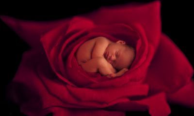 马年康姓宝宝起名取名