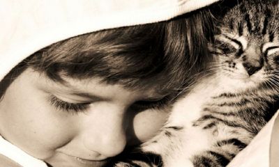 2014马宝宝起名取名大全女孩