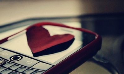 暨姓女孩起名2019属猪