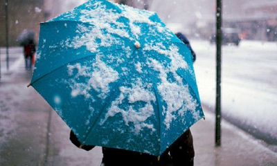 庾姓女孩取名2019属猪