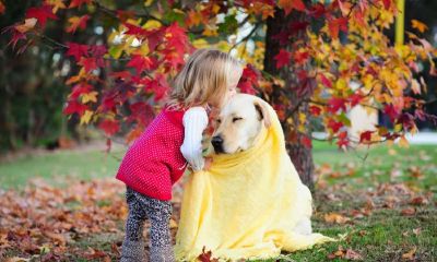 姓侯的猴宝宝起名取名字