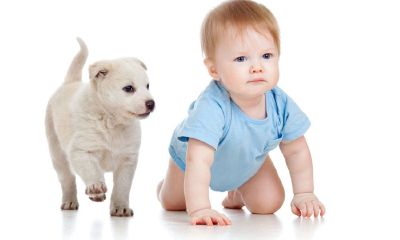 2015年10月14日男宝宝起名取名字