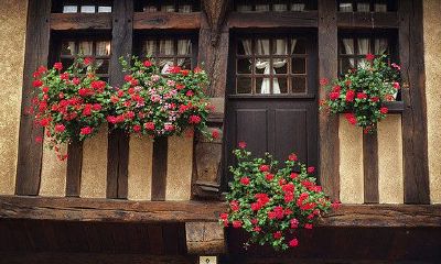 鱼姓女孩名字大全2019