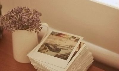 衡姓女孩起名2019属猪