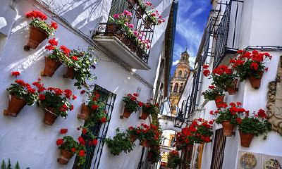 茹姓女孩诗意名字