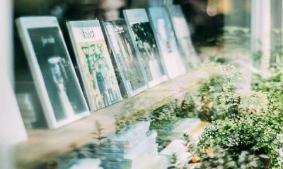 雍姓好听的名字女孩