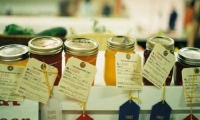 好听的阎姓女孩名字大全2019