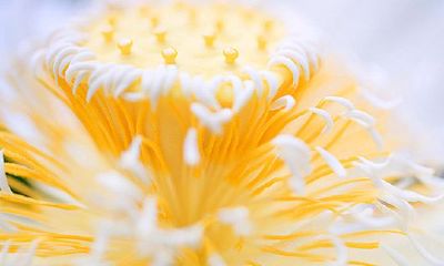 姬姓女孩好听的名字2019