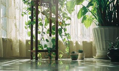 阳姓女孩起名2019洋气