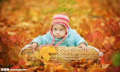 羊年宝宝起名取名叫李锦程好吗