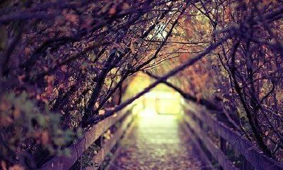 姓宁女孩名字大全2019属猪