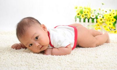 猪年男宝宝起名取名大全