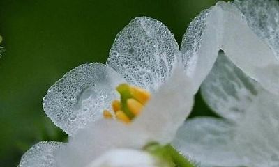 蒲姓100分女孩名字