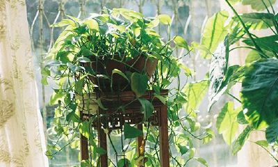 胥姓女孩满分名字