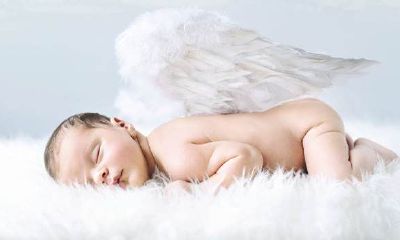 岛城起名哪家专业