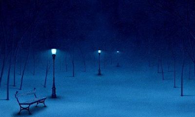 2019姓暴女孩名字