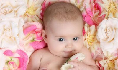 农历11月出生的马宝宝起名取名大全