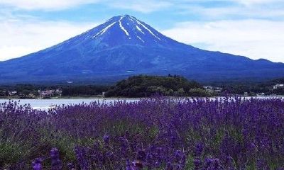 2019寓意好的姓焦女孩名字