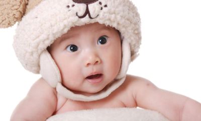 2017年男宝宝起名取名姓樊