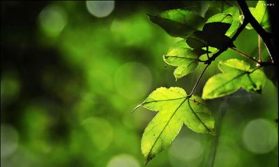 2019姓松女孩名字洋气的