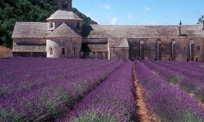 姓巫的女孩名字霸气2019