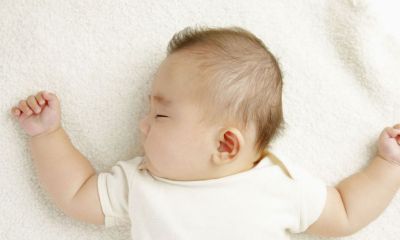 早上出生的鸡宝宝起名取名