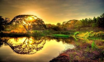 属猪姓全女孩名字大全