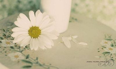 2019姓羿女孩名字洋气的