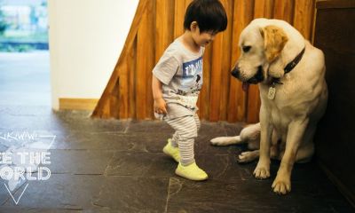 刘姓宝宝起名取名宝字辈