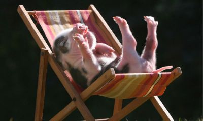 杜宝宝起名取名大全女孩