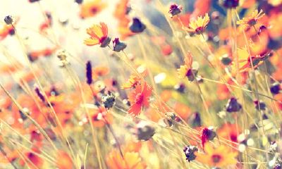 2019姓解女孩名字洋气的