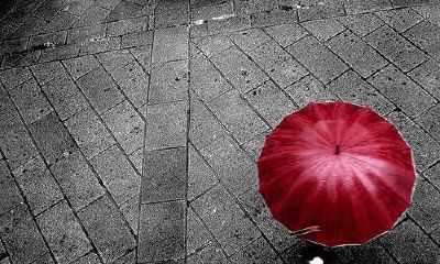 2019姓卢女孩名字洋气的